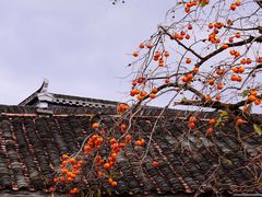 -塔川景区