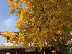 -北寺塔