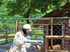 -参仙谷生态旅游度假区