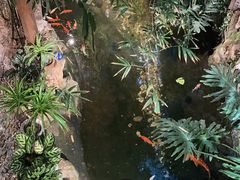 -聚缘堂·海鲜私房菜(松岭路店)