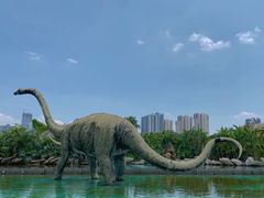 -厦门方特梦幻王国