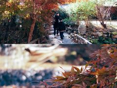 -塔川景区