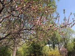 -常家庄园