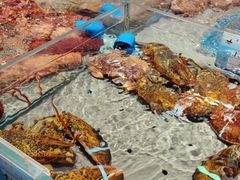 -渔傅·霞浦滩涂海鲜(建平店)