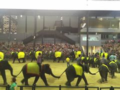 -东芭乐园