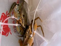-都斛海鲜街