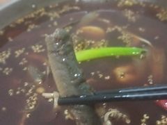 -邱氏胖泥鳅(大堰店)