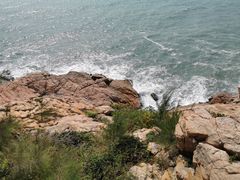-广东惠东海龟国家级自然保护区