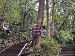 -青城山