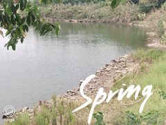 -广东花都湖国家湿地公园
