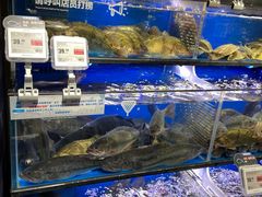 水产区-盒马鲜生(双清路店)