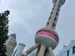 -上海大自然野生昆虫馆(东方明珠·爬宠昆虫探索中心)