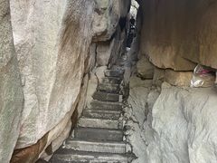 -鲁山国家森林公园