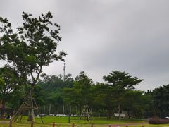 -太平洋咖啡(海天驿站店)