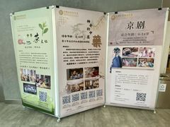 -中国宋庆龄青少年科技文化交流中心