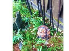 -京都冈本和服体验租赁店(清水寺店)