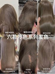 -环球蝶上美业连锁