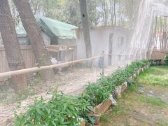 -富乐山