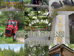 -东平国家森林公园