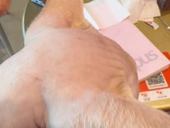 -藏猫猫咖啡主题馆(中央大道店)