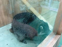 -藦茜花园宠物主题亲子互动体验馆(国顺东路店)