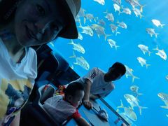 -瑞德姆美人鱼海底演艺主题餐厅(亚龙湾店)