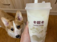 桂花酸奶-卡旺卡(合肥瑶海保利广场店)