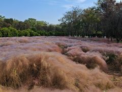 -华山御温泉度假村