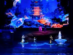 -海合安武汉极地海洋公园