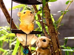 -后海16号·北京私房菜