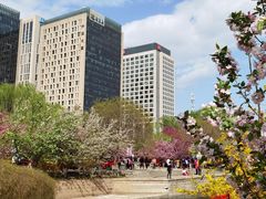 -元大都城垣遗址公园