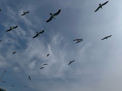 -蓝精灵乐园·世茂精灵之城主题乐园