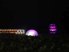 -枫林花海