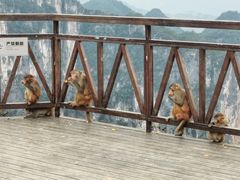 -重庆云阳龙缸景区