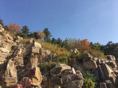 -鹦鹉寺公园