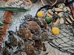 -上海浦东康桥绿地假日酒店