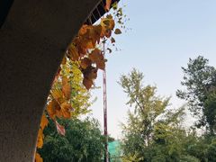 -无锡惠山寺