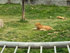 -西安秦岭野生动物园