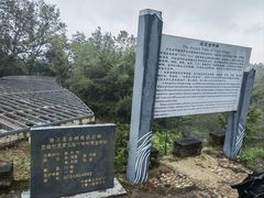 -桑洲油菜花景区