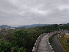 -黄贤森林公园