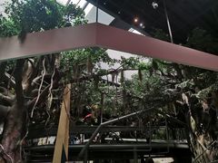 -武汉园博园(武汉自然博物馆)