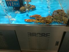 -麦德龙(郑东店)