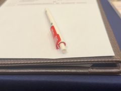 -上海浦东星河湾酒店