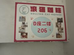-滚猫咖啡·猫咖·猫友好撸猫(未来城店)