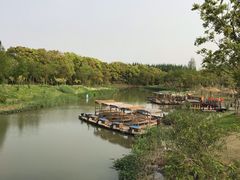 -上海长兴岛郊野公园