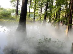 -东湖落雁景区