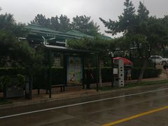 -海岸风情蒸汽海鲜自助餐厅(家宴金手勺店)