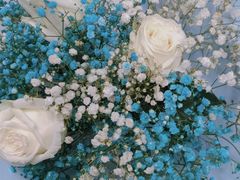 -循礼门鲜花花市(武汉循礼门店)