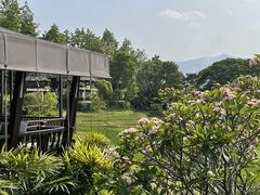 -四季酒店下午茶