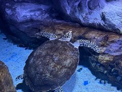 -南昌融创海世界